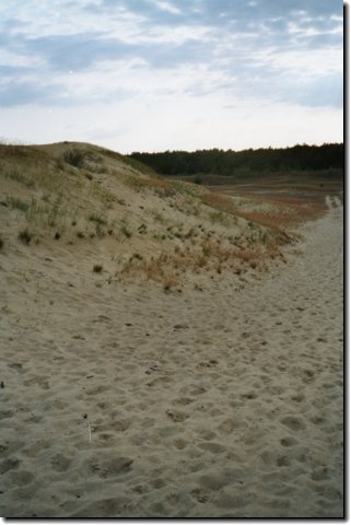 litauen_103.jpg