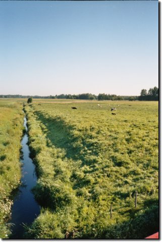 litauen_474_a.jpg