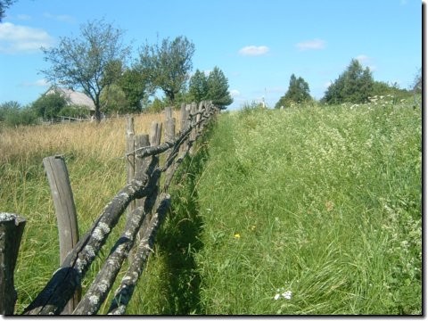 litauen_478.jpg