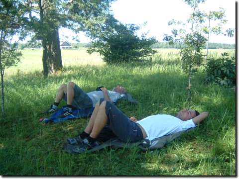 litauen_482.jpg