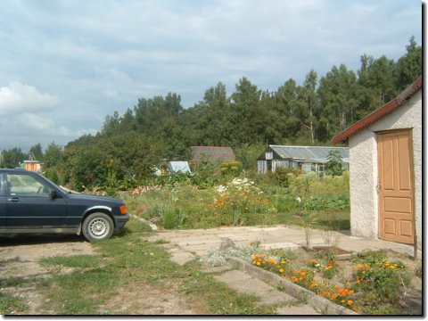 litauen_495.jpg