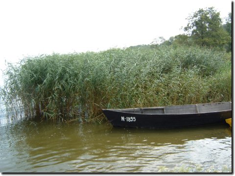 litauen_61.jpg