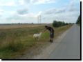 litauen_492.jpg